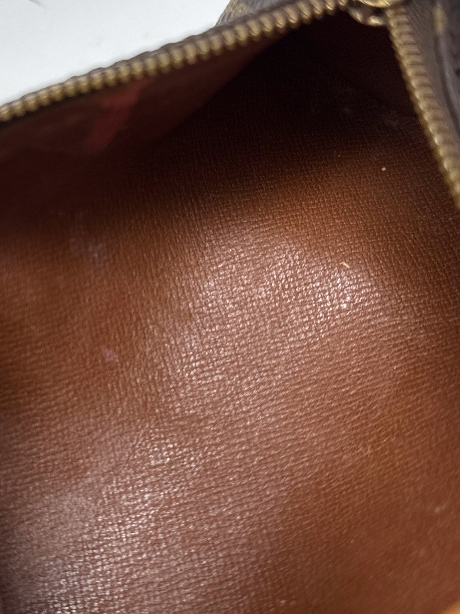 Louis Vuitton Monogram Mini Papillon