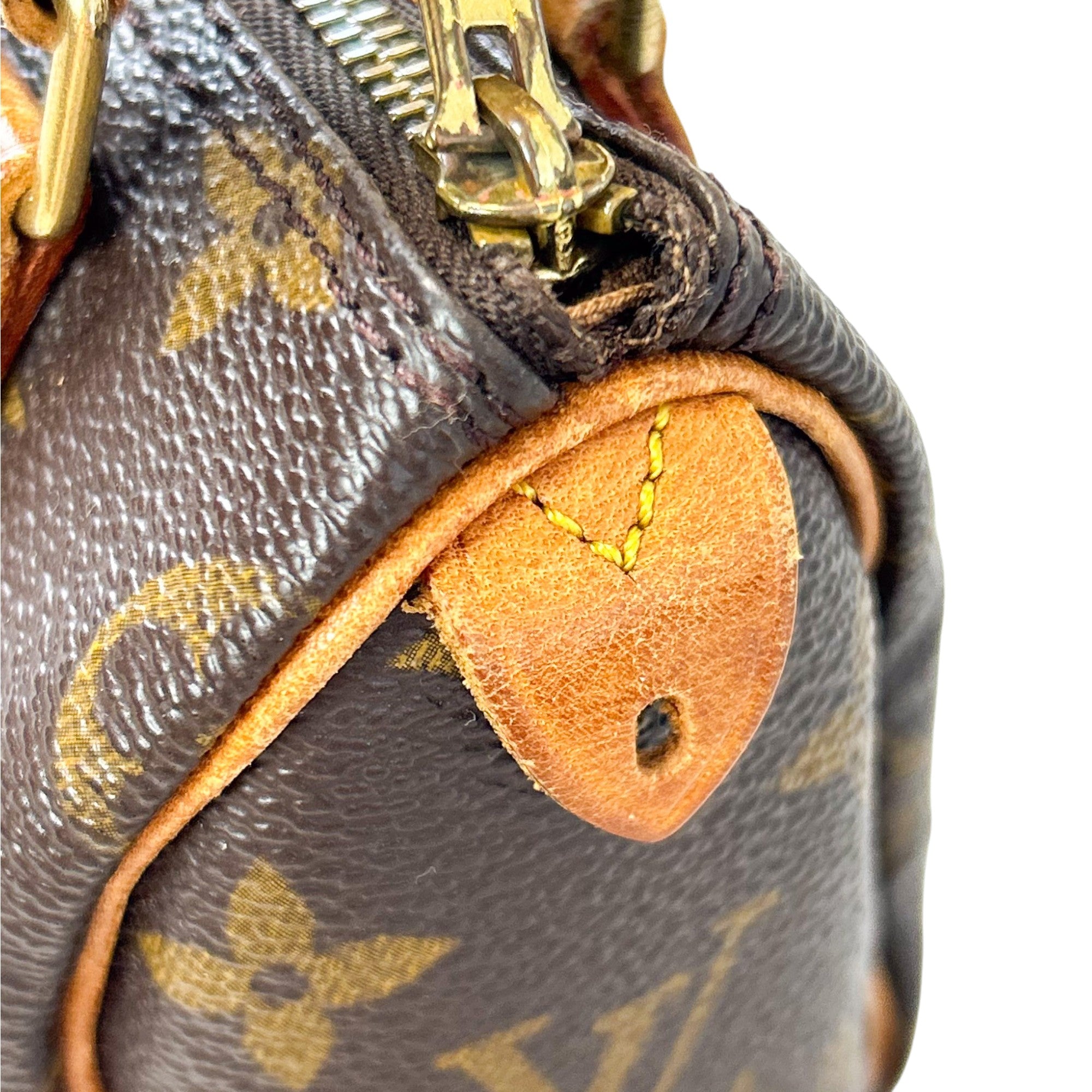 Louis Vuitton Nano Speedy