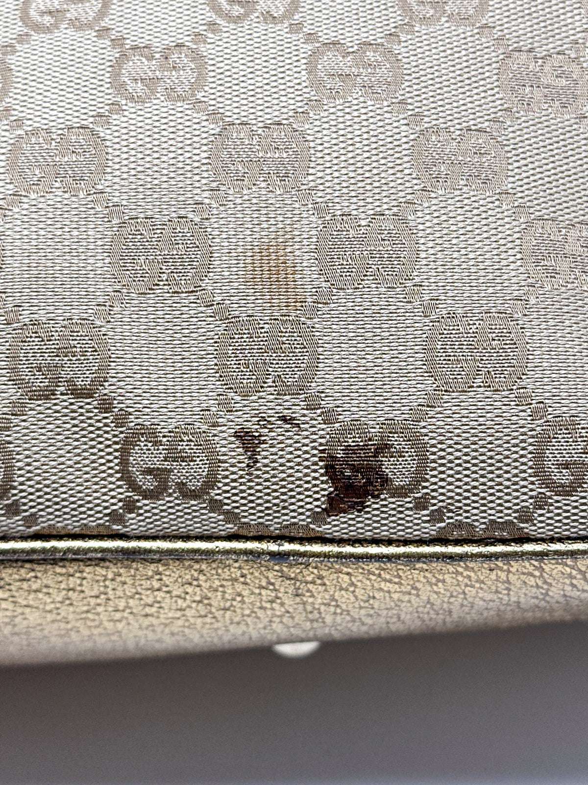 Gucci Canvas Princy