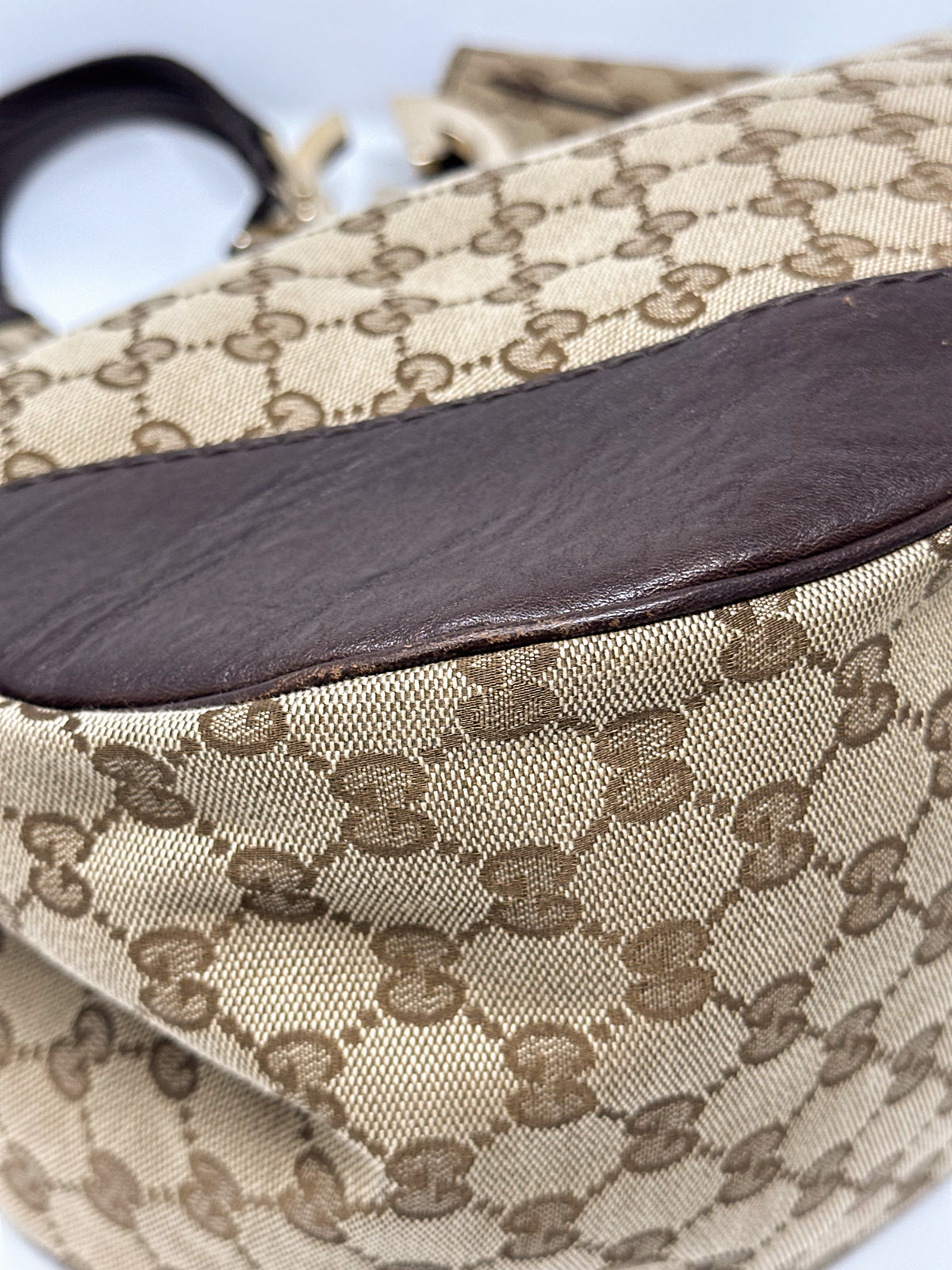 Gucci Charlotte Canvas Hobo Bag