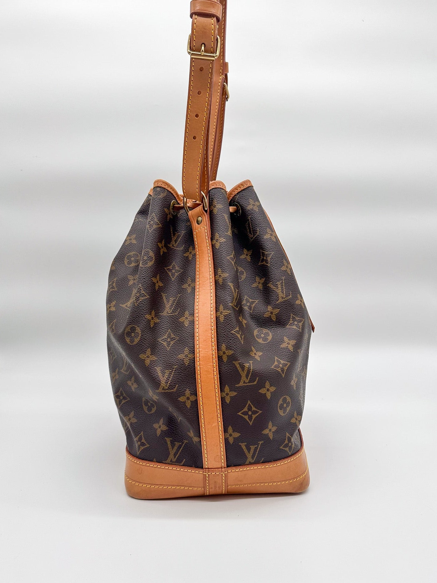 Louis Vuitton Monogram Noé Bucket Bag