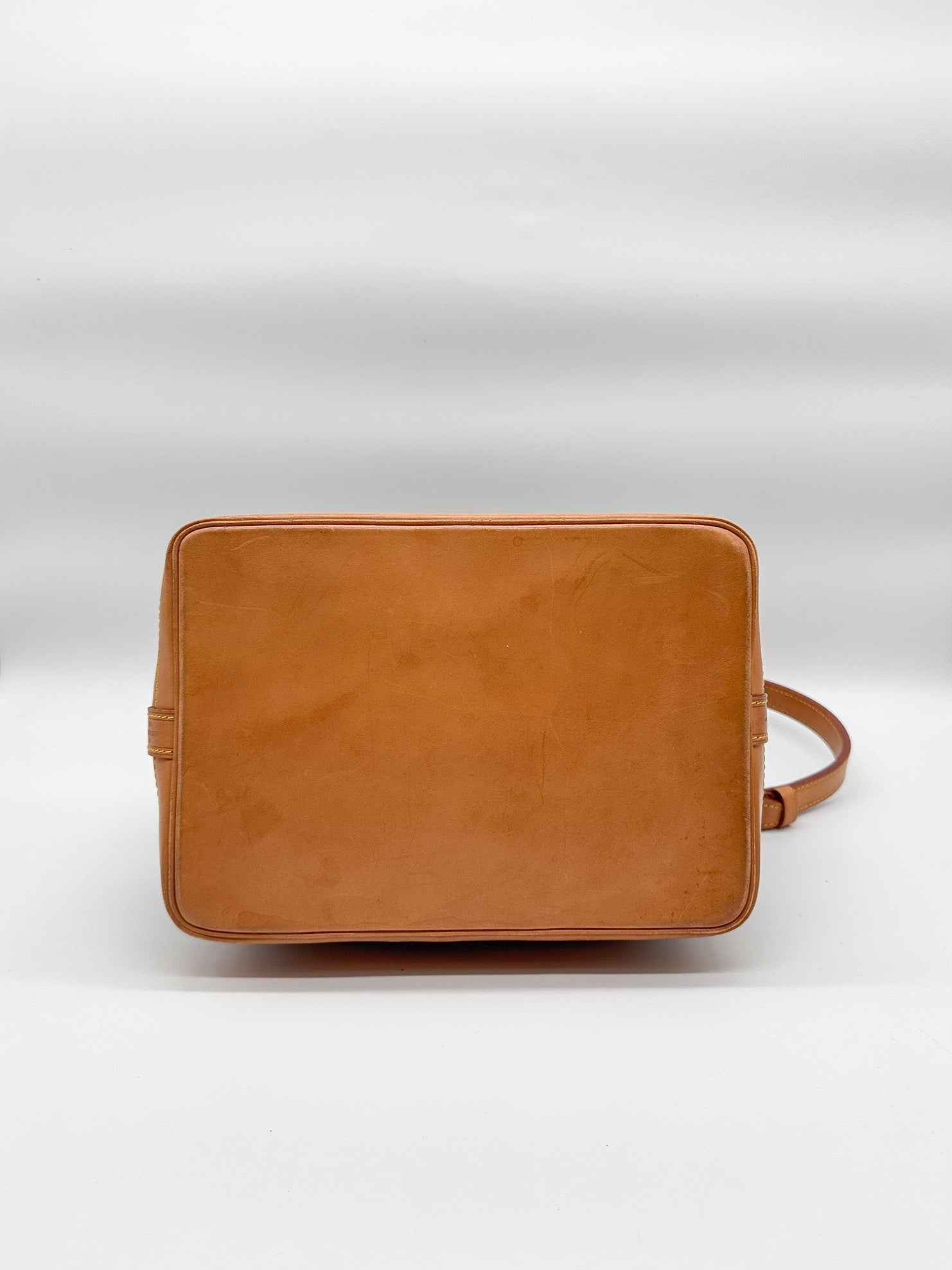 Louis Vuitton Monogram Noé Bucket Bag