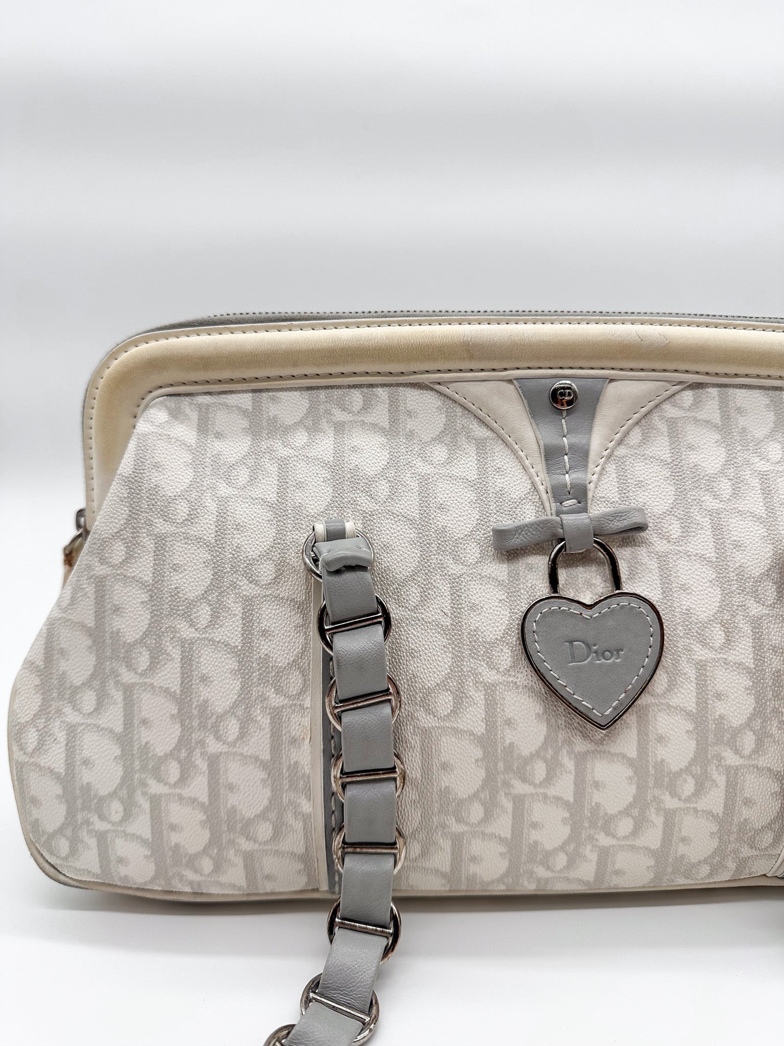 Dior Trotter Oblique Romantique Shoulder Bag