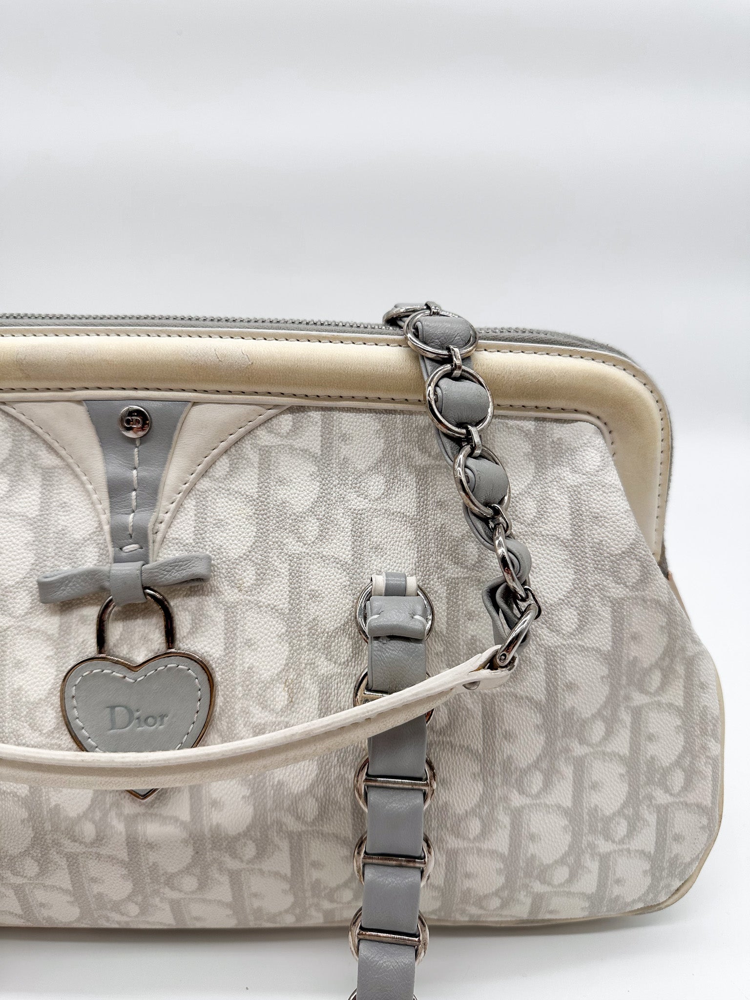 Dior Trotter Oblique Romantique Shoulder Bag