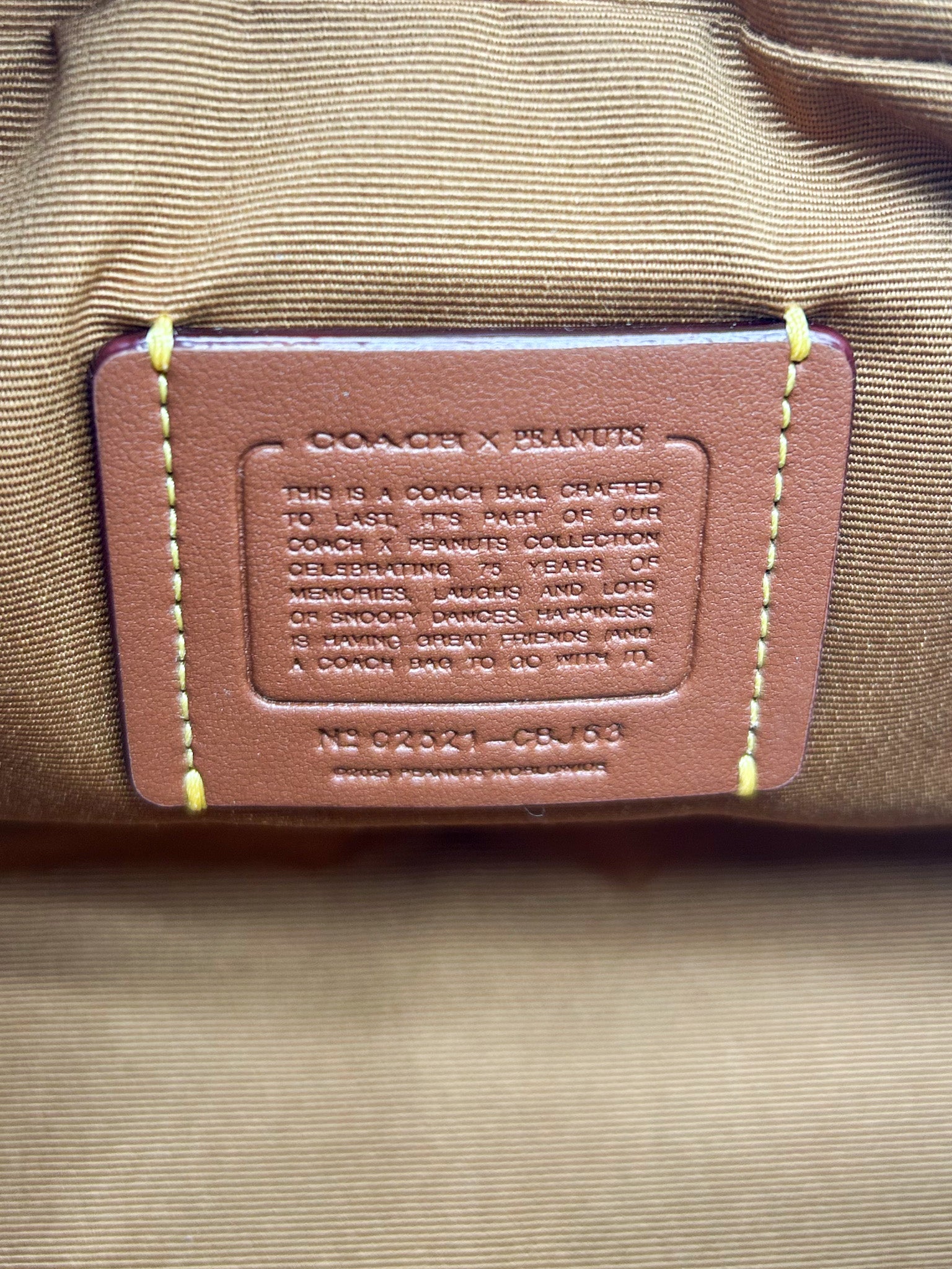 Coach x Peanuts Charlie Brown Mini Satchel