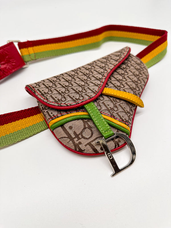 Christian Dior Rasta Saddle Belt Bag