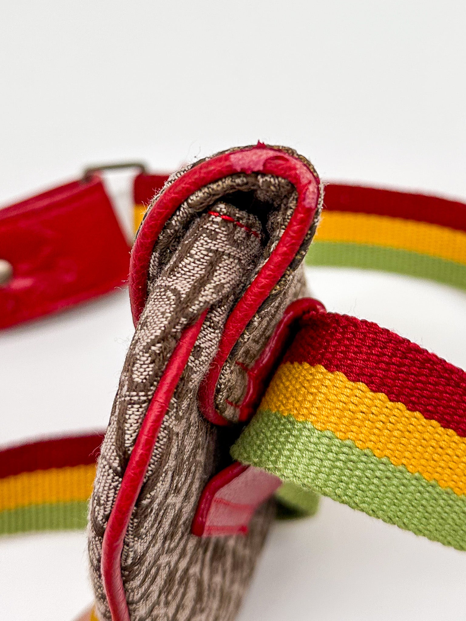 Christian Dior Rasta Saddle Belt Bag