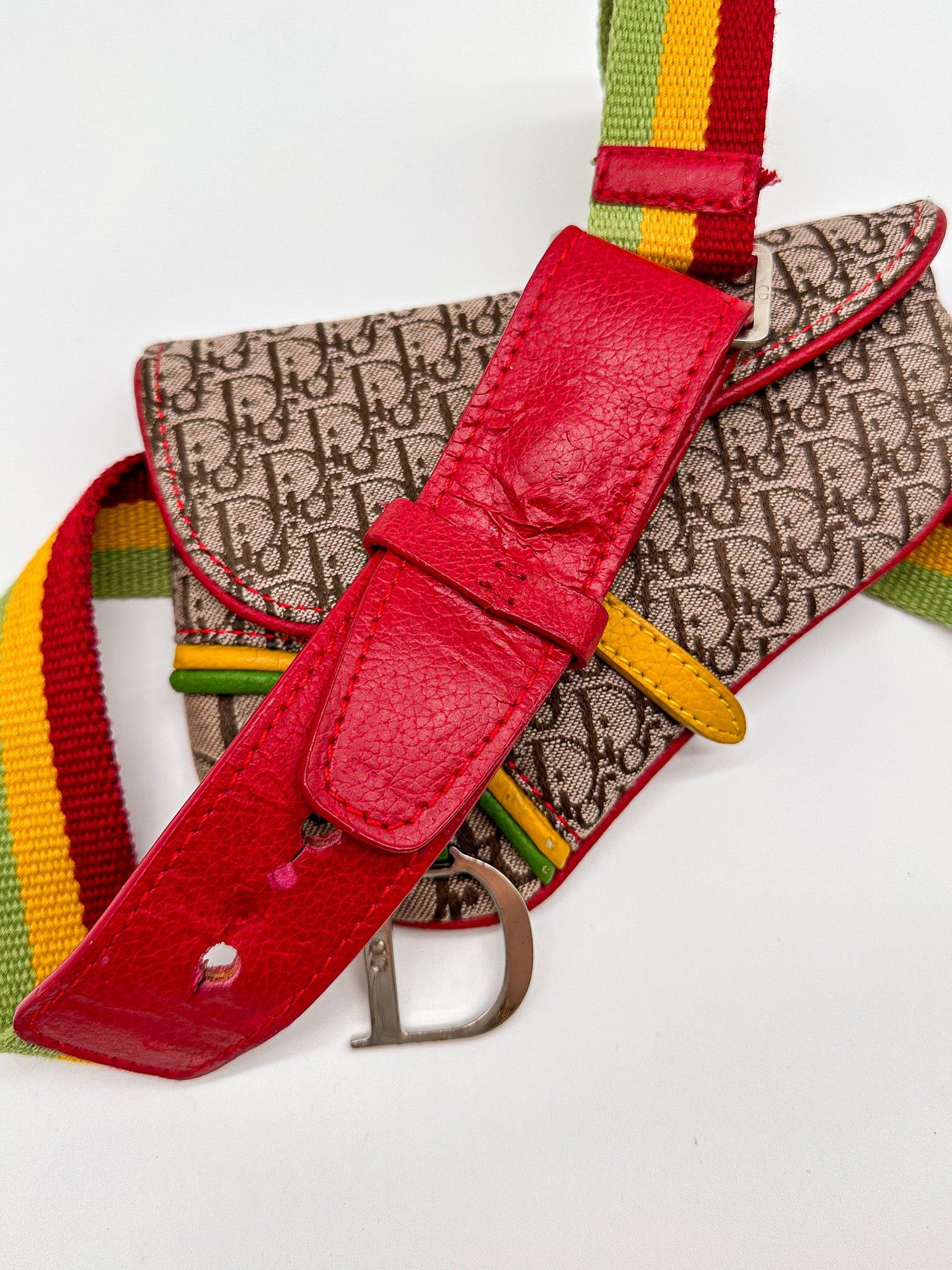 Christian Dior Rasta Saddle Belt Bag