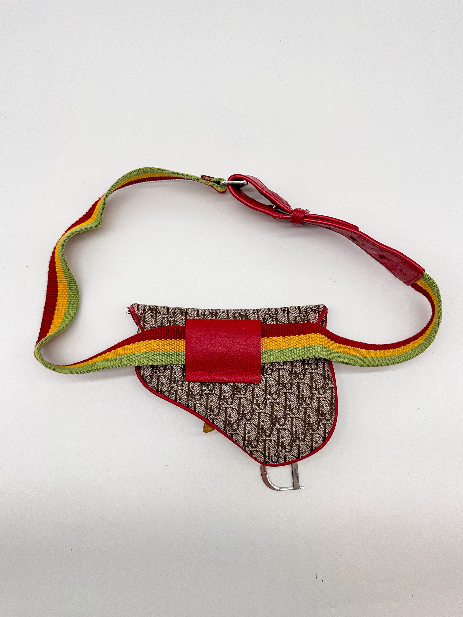 Christian Dior Rasta Saddle Belt Bag