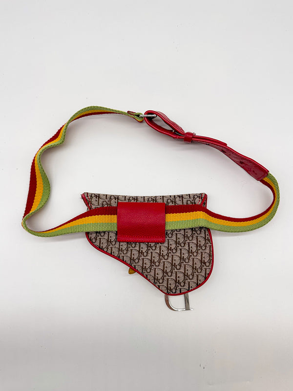 Christian Dior Rasta Saddle Belt Bag