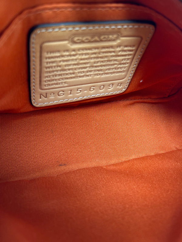 Coach Signature Demi Mini Pouch Shoulder Bag