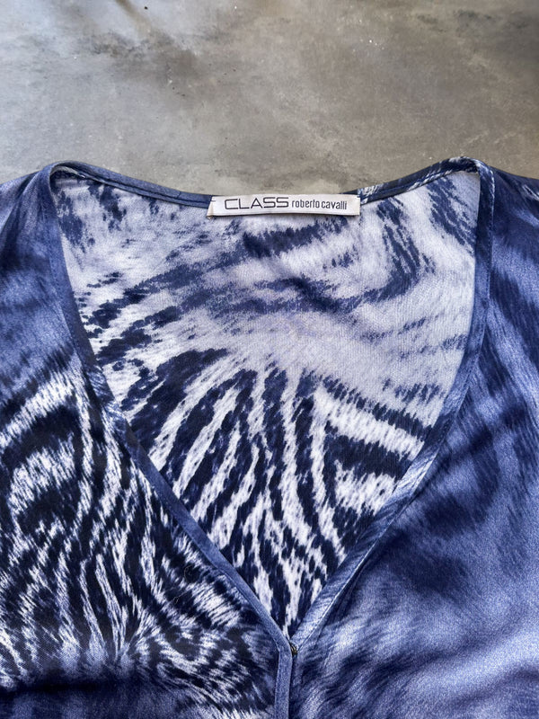 Class Roberto Cavalli Animal Print V-Neck Long Sleeve Top